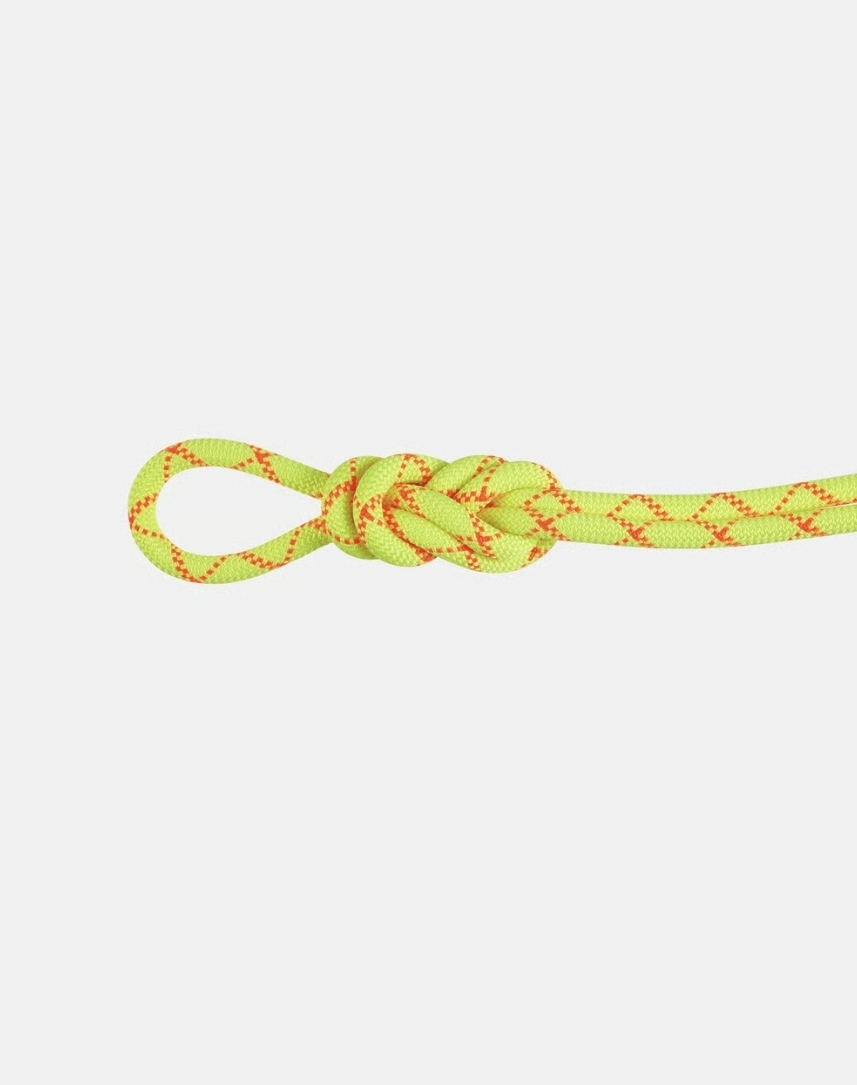 9.5 Alpine Core Protect Dry Rope