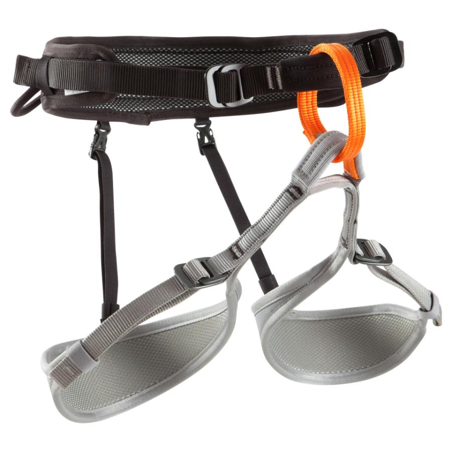 Harness